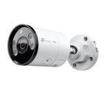 TP-LINK VIGI C355(4mm)